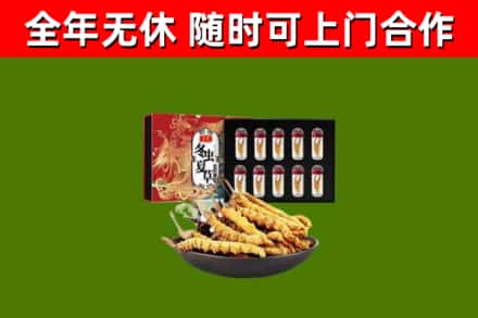 黄龙县回收冬虫夏草价格